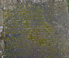 Mitchel Troy, gravestone